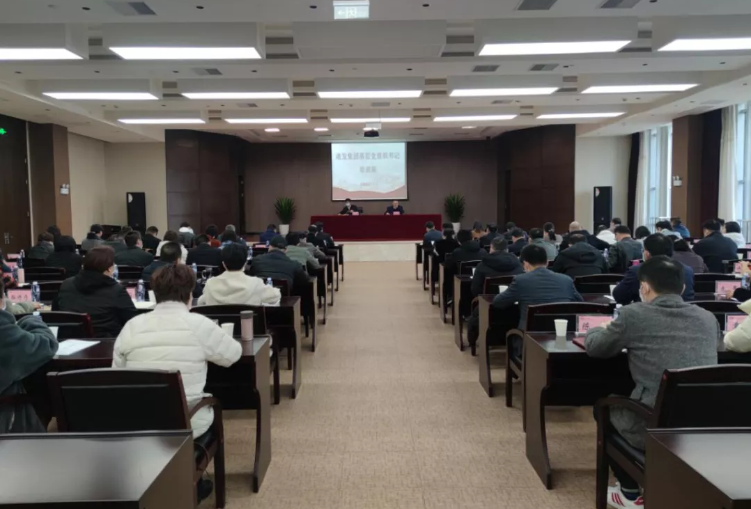 P020220629352947569247