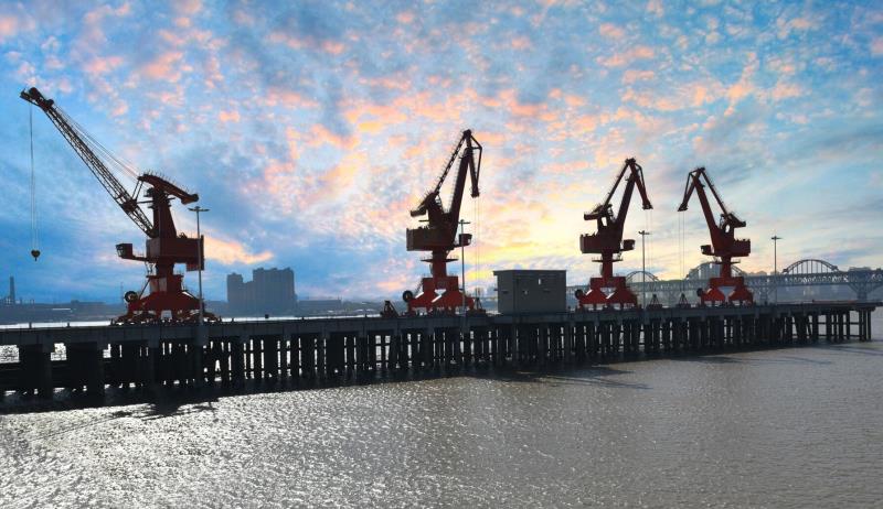 P020220629334782366482